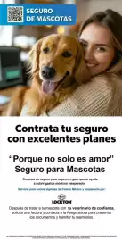 Catálogo Costco Página 17
