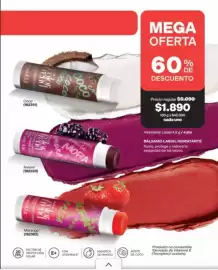Catálogo Avon Página 37: Mega - balai vapor €1.890,00