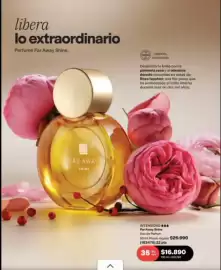 Catálogo Avon Página 47