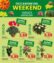 Volantino Interspar Pagina 3: Ciclamini €2,69, Settembrino €5,59