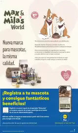 Catálogo Lidl semana 40 Página 27