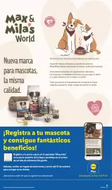 Catálogo Lidl semana 40 Página 27