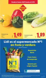 Catálogo Lidl semana 40 Página 3: Pimiento tricolor €1,49, Corazones de cogollo €1,89