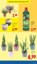 Catálogo Lidl semana 40 Página 49: Maceta de yute €3,99, Sansevieria €4,99