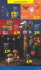 Catálogo Lidl semana 40 Página 29: Kalanchoe Halloween €4,99, Cala y Guzmania Halloween €7,99