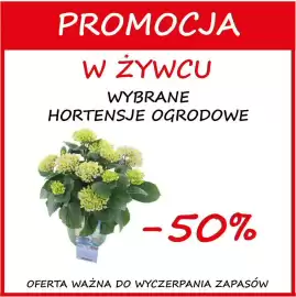 Szarotka gazetka Strona 10