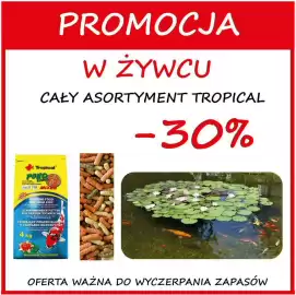 Szarotka gazetka Strona 2