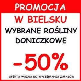 Szarotka gazetka Strona 5