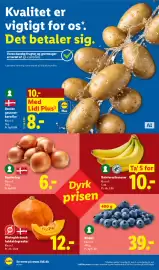Lidl tilbudsavis Side 18: Økologisk dansk hokkaidogræskar €12,00, Danske løg €6,00