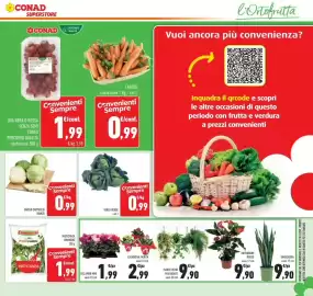 Volantino Conad Pagina 17