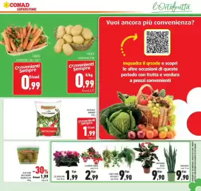 Volantino Conad Pagina 23