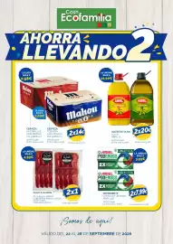 Folleto Cash Ecofamilia semana 39 Página 1: Jabugo paleta/jamón €4,99, Mahou cerveza 5 estrellas €14,00