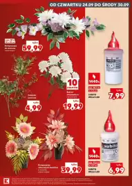 Kaufland gazetka tydzień 39 Strona 19