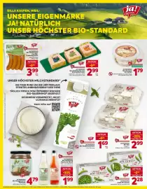 Billa Flugblatt woche 39 Seite 8