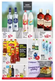 Multi Markt Prospekt woche 39 Seite 13