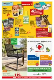 Multi Markt Prospekt woche 39 Seite 19