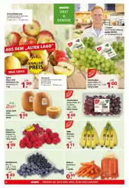 Multi Markt Prospekt woche 39 Seite 6