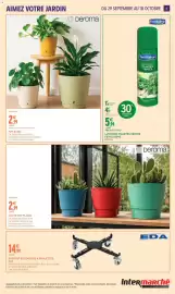 Catalogue Intermarché | Jardin d'automne page 11: Fertiligene Lustrant Plantes Vertes €5,99, Deroma POT DUNE €2,99
