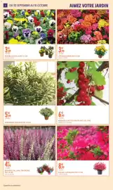 Catalogue Intermarché | Jardin d'automne page 2: ARBUSTE À PETITS FRUITS €6,99, CHRYsanthème €3,99