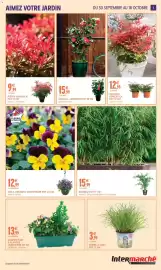 Catalogue Intermarché | Jardin d'automne page 5: Dypteryx Herbe à chat €3,99, NANDINA DOMESTICA €12,99