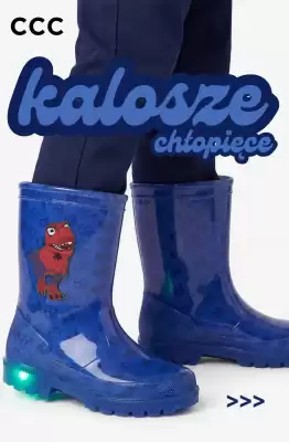 CCC (ważność do 29-09)