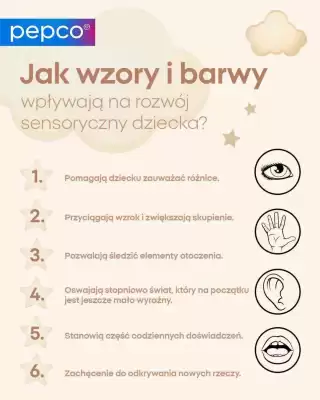 Pepco (ważność do 6-10)