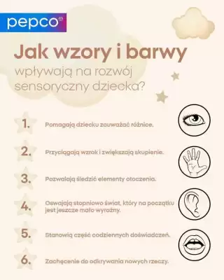 Pepco gazetka (ważność do 6-10)