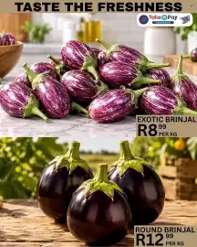 Take 'n Pay catalogue Page 12: Round Brinjal €12,99, Exotic Brinjal €8,99