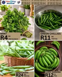 Take 'n Pay catalogue Page 19: Green Peppers €6,99, Robot Peppers €24,99