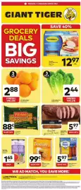 Giant Tiger flyer week 39 Page 1: Primo pasta €0,88, Seedless oranges €2,88