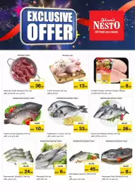 Nesto catalogue Page 11