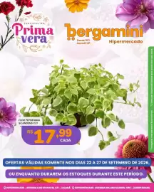 Catálogo Supermercado Bergamini semana 39 Página 2