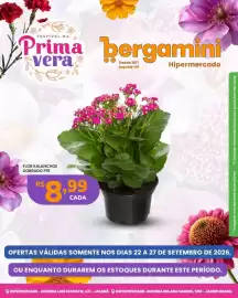 Catálogo Supermercado Bergamini semana 39 Página 3