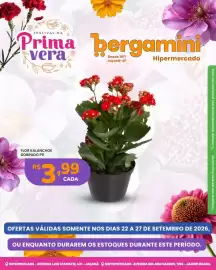 Catálogo Supermercado Bergamini semana 39 Página 4