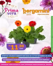 Catálogo Supermercado Bergamini semana 39 Página 5