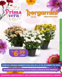 Catálogo Supermercado Bergamini semana 39 Página 6
