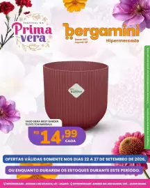 Catálogo Supermercado Bergamini semana 39 Página 7