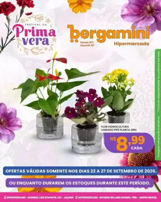 Bergamini (válido até 27-09)