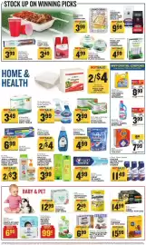 Food Lion weekly ad week 39 Page 14: Kingsford original briquettes or match light briquettes €9,99