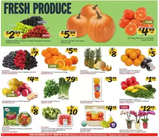 Winn Dixie weekly ad week 39 Page 2: Know & Love Color Peppers €3,99, Cilantro or Green Onions €0,79