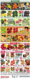Jewel-Osco weekly ad week 39 Page 10: Fresh Express Salad Blends or Earthbound Farm Greenhouse Salads €5,00