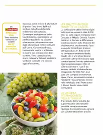 Volantino Basko Pagina 10