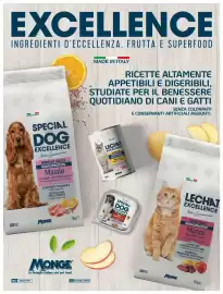 Volantino Basko Pagina 50