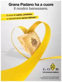 Volantino Basko Pagina 8