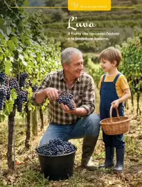 Volantino Basko Pagina 9