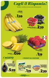 Volantino Ipercoop Radenza Pagina 24: Banane CHIQUITA €1,59, Insalata La Pitittusa Naturizia €1,19