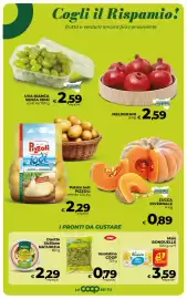 Volantino Ipercoop Radenza Pagina 25: Insalatina COOP €0,79, Uva bianca senza semi €2,59