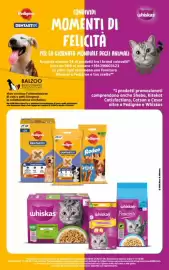 Volantino Ipercoop Radenza Pagina 59
