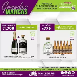 Folleto Bodegas Alianza Página 11