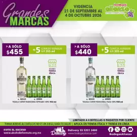 Folleto Bodegas Alianza Página 12